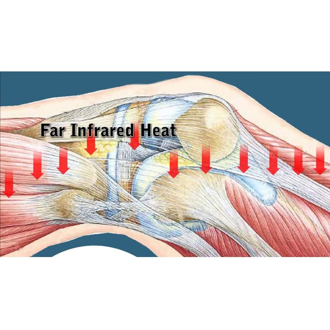 Conybio Soft Comfort Socks (2 Pairs)