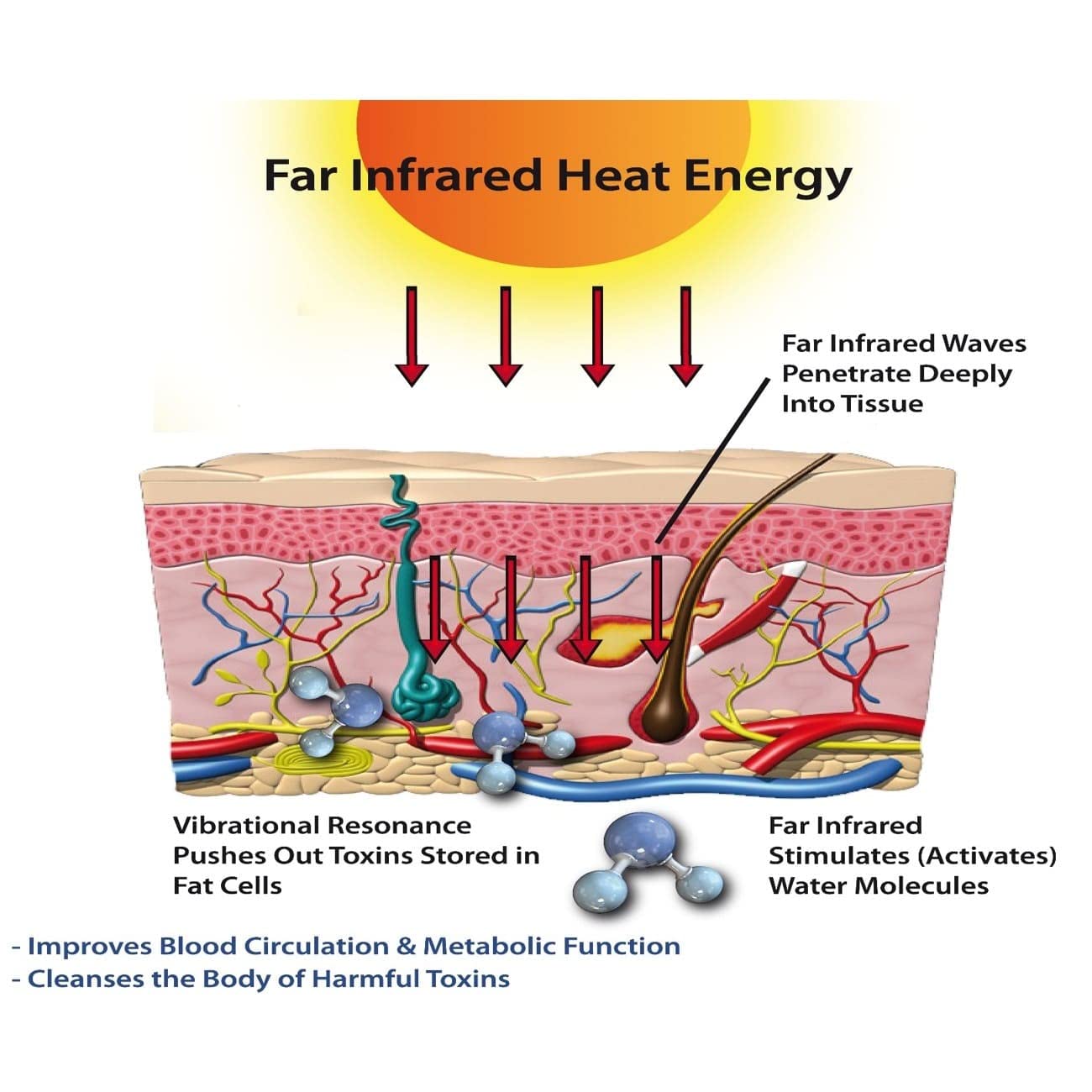 Conybio Soft Comfort Socks (2 Pairs)