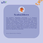 YTM Sea Buckthorn Juice 500 ml | Herbal Wellness Drink