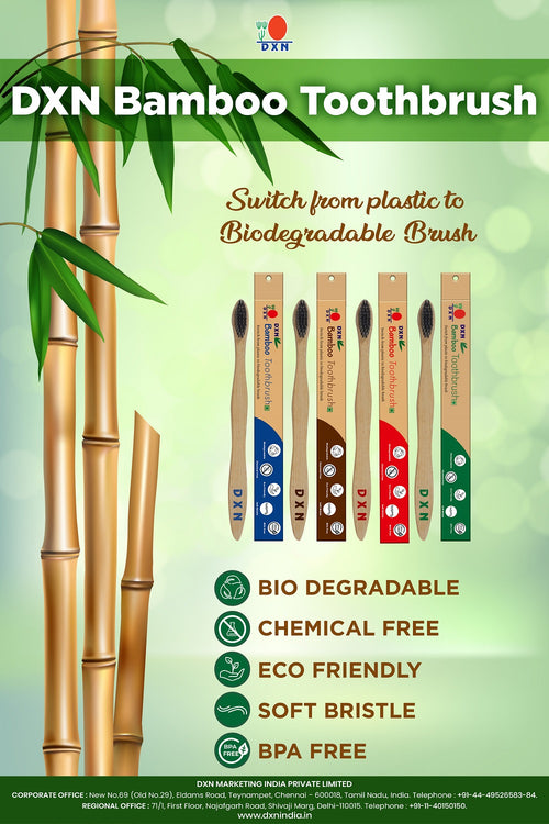 DXN Bamboo Tooth Brush (Pack of 4)
